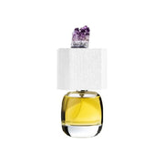 Perfume Delire De Voyage Lux Visionaria Unisex Edp 100 Ml Tester