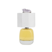 PERFUME DELIRE DE VOYAGE LUX VISIONARIA UNISEX EDP 100 ML