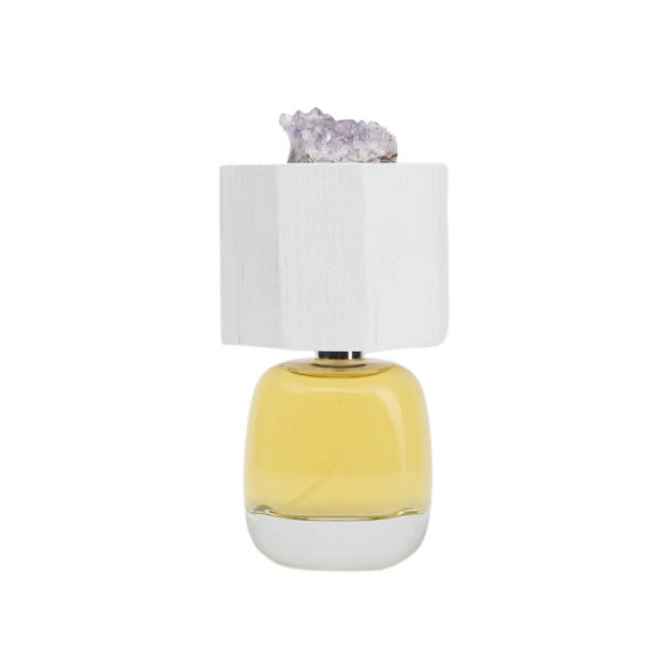 PERFUME DELIRE DE VOYAGE LUX VISIONARIA UNISEX EDP 100 ML