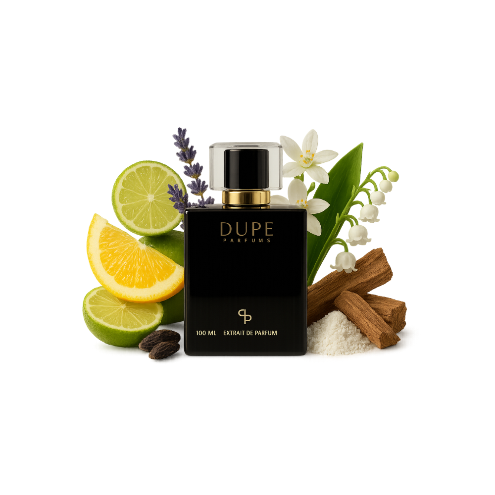Perfume Dupe Aged Orange Extrait 100 Ml