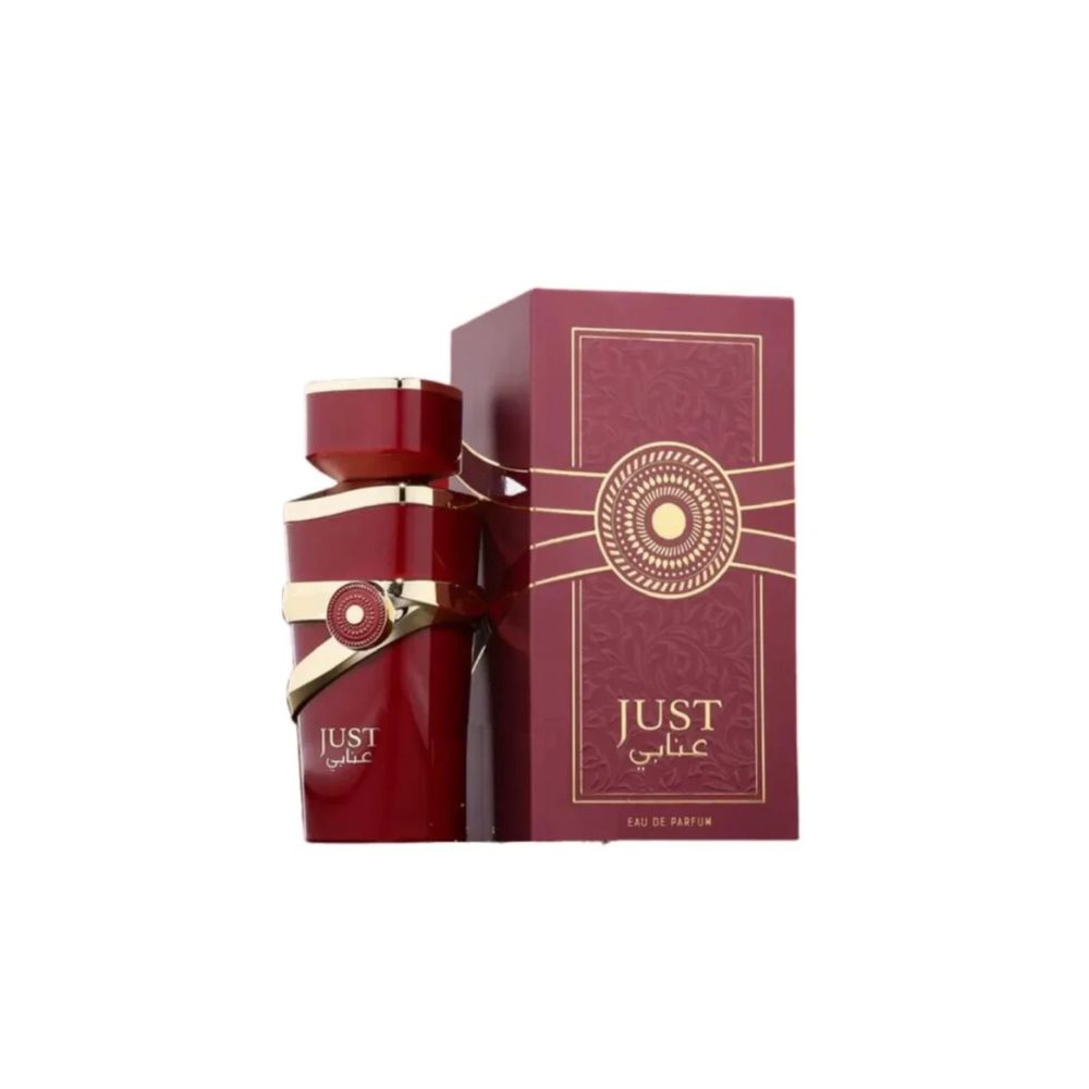 Perfume Fragrance World Just Anabi Hombre Edp 100 Ml