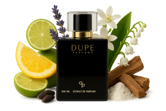 Perfume Dupe Aged Orange Extrait 100 Ml