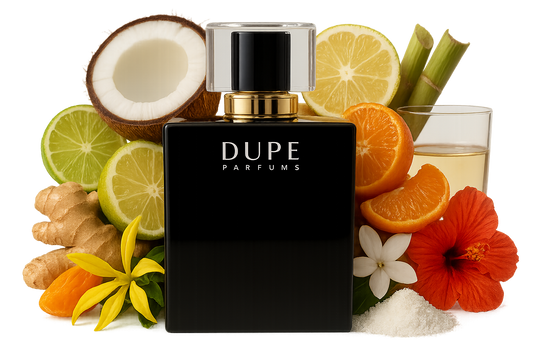 Perfume Dupe Caribbean Dreams Extrait 100 Ml