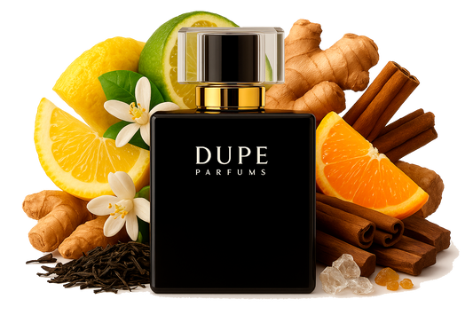 Perfume Dupe Ingeniosite  Extrait 100 Ml
