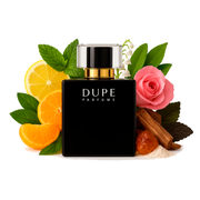 Perfume Dupe Rinascimento Extrait 100 Ml