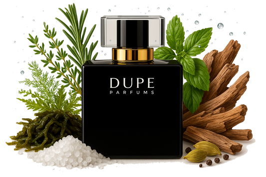 Perfume Dupe Saltwater Extrait 100 Ml