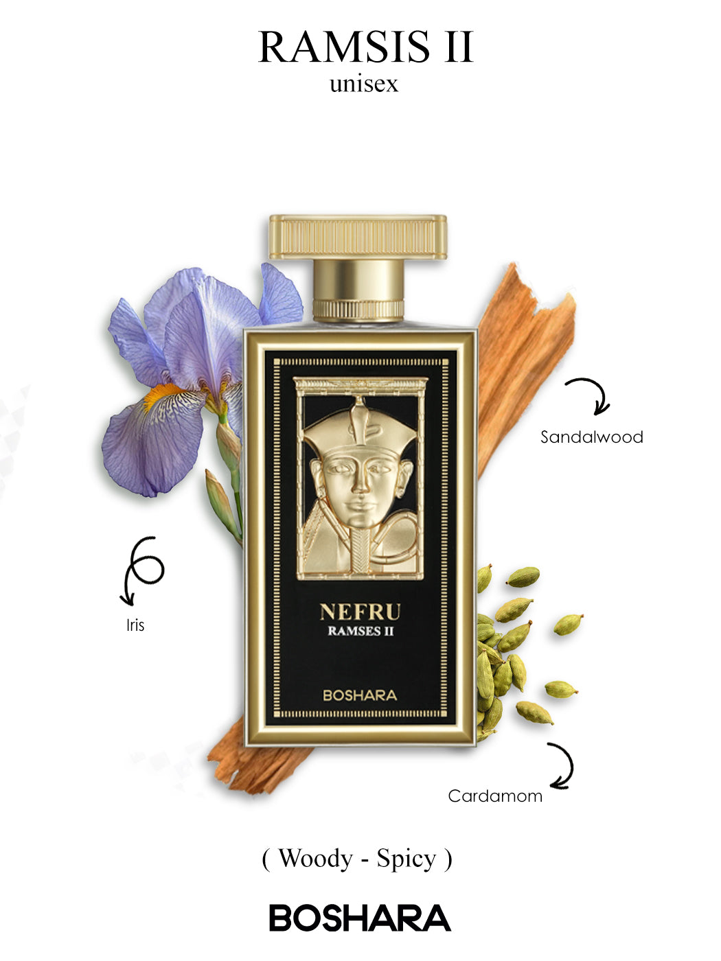 PERFUME BOSHARA RAMSES II UNISEX EDP 100ML