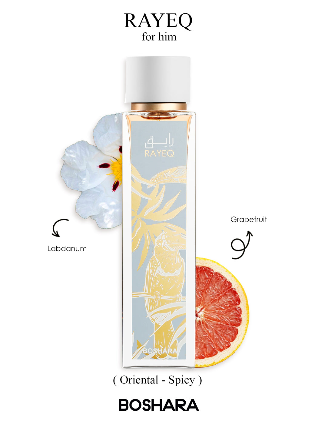 PERFUME BOSHARA RAYEQ UNISEX EDP 100ML